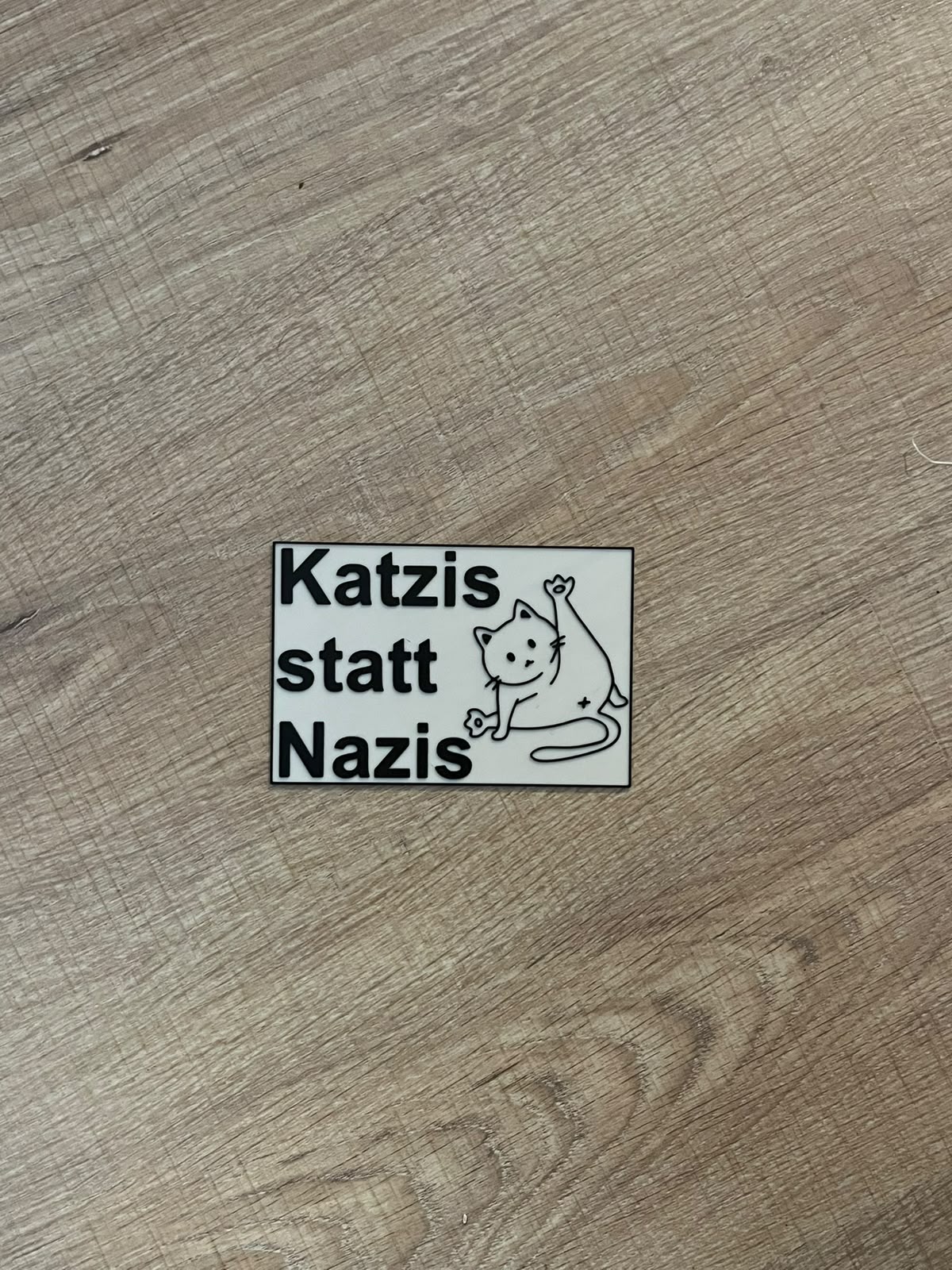 Kätzchen statt Nazis – Schönes Katzenschild