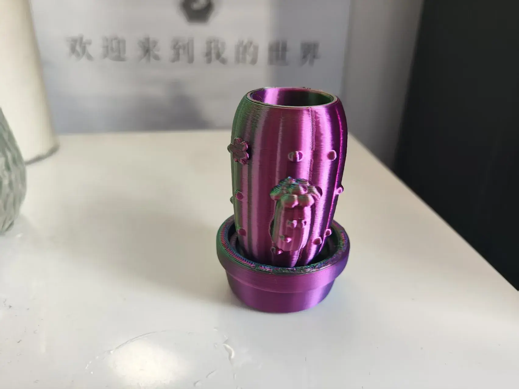 Cactus Pen Holder