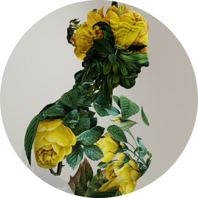 LoyalCam
