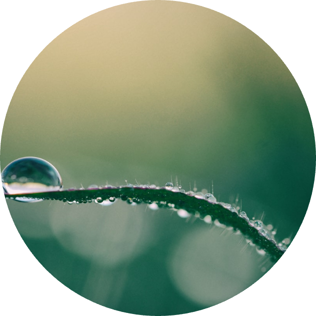 tawnywharf21