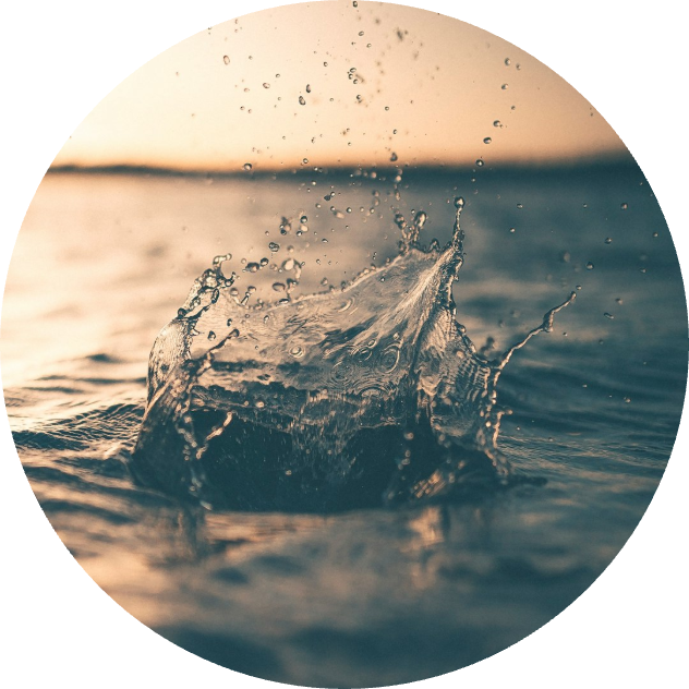Leila Gallo