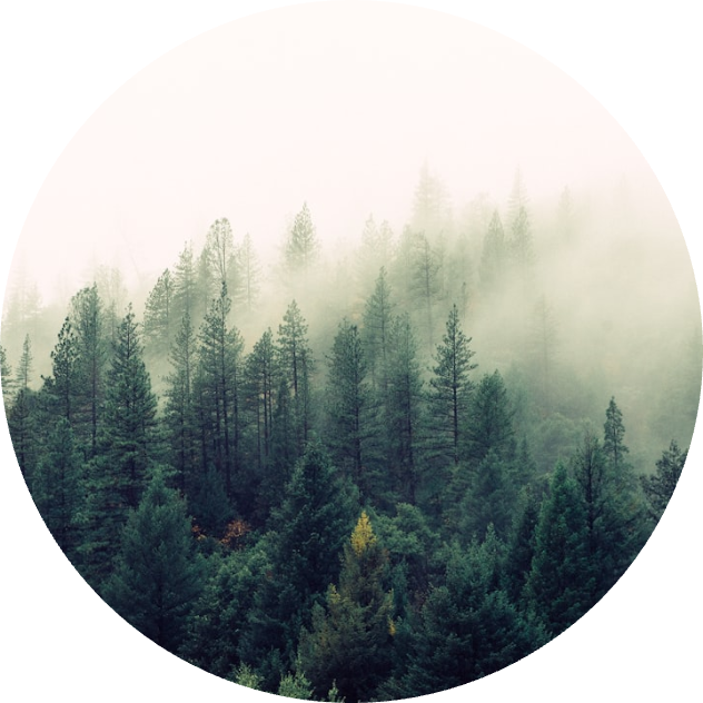 Richard Price