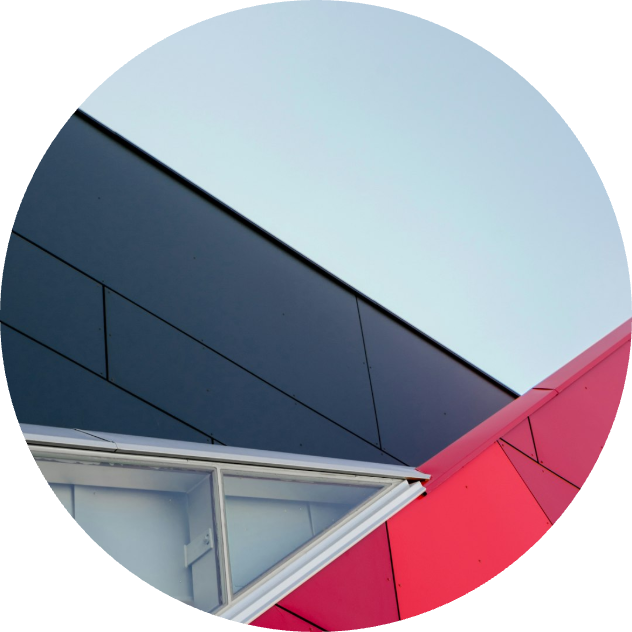 Spruce Bog