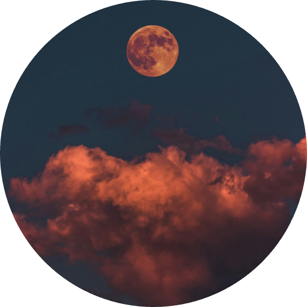 Tidy Canyon