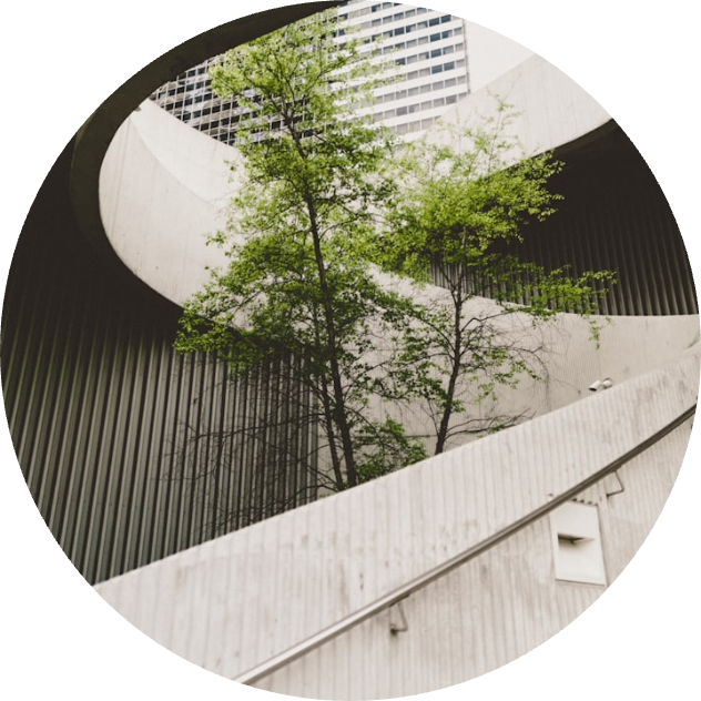 jonathan_zimmermann485